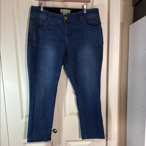 Democracy Blue Ankle Cropped Jeans with Stretch 16W
